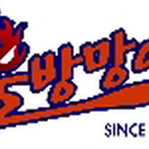 분당서울대병원 불방망이 로고