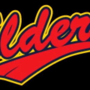 성남 엘더스 실버야구단 로고