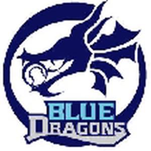 교보블루드래곤즈 로고