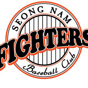 SN파이터즈 로고