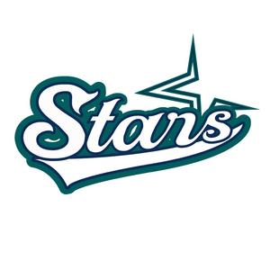 분당스타즈 로고